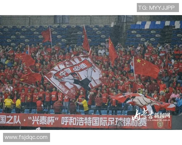 2011年亚预赛中国队对阵越南队精彩回顾与赛后分析