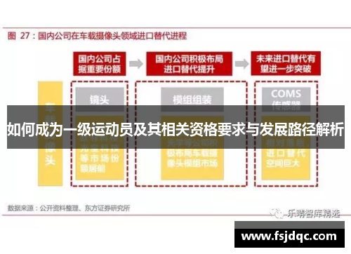 如何成为一级运动员及其相关资格要求与发展路径解析